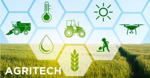 What some Blockchain and Agritech terms actually mean