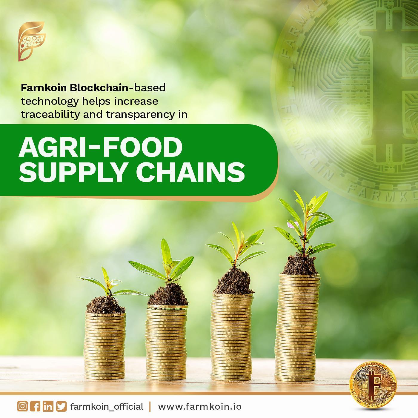 Importance of Blockchain in Agricultural Insurance